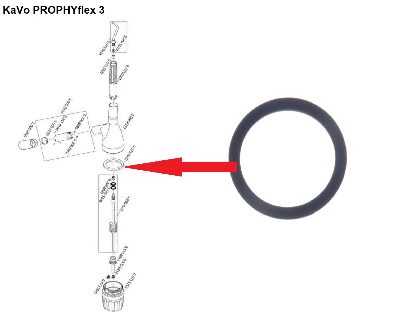 Кольцо уплотн. емкости порошка KaVo PROPHYflex 3 арт. 0.573.6072