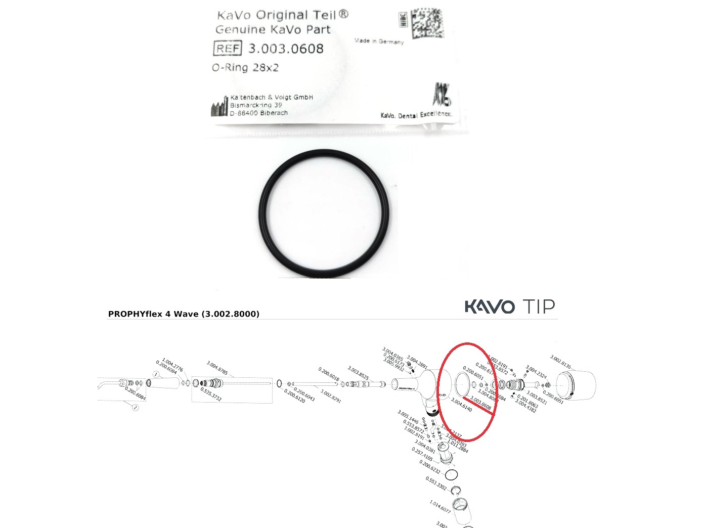 Кольцо уплотн. Kavo ProphyFlex 4 контейнера арт. 3.003.0608